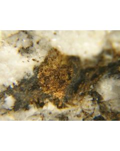 LABUNTSOVITE-Mn. Koashva Mt, Khibiny, Kola Peninsula, Russia