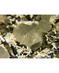 LAUMONTITE. Dashkesan, Azerbaijan