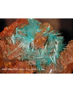 Aurichalcite xx; Chah Khuni Mine, Anarak, Ostana Yazd, Persia; KS