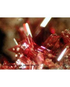 Erythrine xx; Ambed-3, Bou Azzer, Morocco; KS