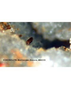 Kinichilite xx; Mina La Bambolla, Moctezuma, Sonora, Mexico; MM
