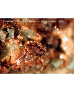 Metahewettite xx; Sunday No. 2 Mine, Slick Rock, CO, USA; MM