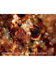 Metahewettite xx; Sunday No. 2 Mine, Slick Rock, CO, USA; NS