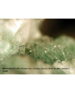 Metavariscite xx; Edison-Bird Mine, Utahlite Hill, Lucin, Box Elder Co., UT, USA; MM