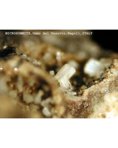 Microsommite xx; Monte Somma, Vesuvius, Italy; MM