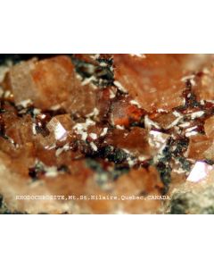 Rhodochrosite xx; Mt. St. Hilaire, Quebec, Canada; KS