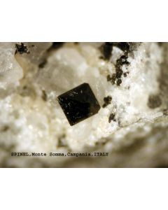Spinel - (Fe) xx; San Vito Quarry, Monte Somma, Vesuvius, Neapel, Italy; KS