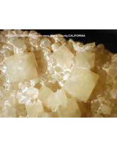 Woodhouseite xx; Champion Mine, Eagle Camp, White Mtns., CA, USA; KS