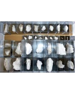 Strontioginorite xx/(xx); Steinbruch Kohnstein, Niedersachswerfen, Harz, D.; NS