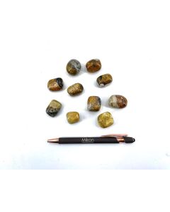 Bumble Bee Jasper Tumbled Stones; 10 piece; Indonesia