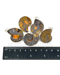 Ammonites, round, app. 4 cm with real silver setting for pendant. 1 piece