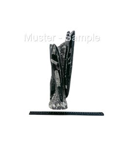 Orthoceras Sculpture, 35 - 45 cm, polished, Morocco, 1 piece