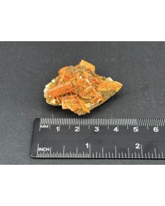 Wulfenite xls; Los Lamentos, Mexico; Gerd Tremmel collection; Min; unique piece