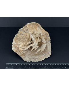 Desert Rose; Tunisia; 1 kg; unique piece
