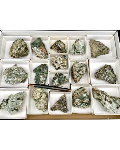 Chromium Actinolite, Garnet xls; Wanni Glacier, Binn Valley, Switzerland; 1 flat; unique
