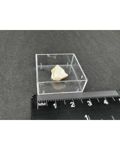 Kotoite; Naljoduoye, Siberia, Russia; MM; unique piece
