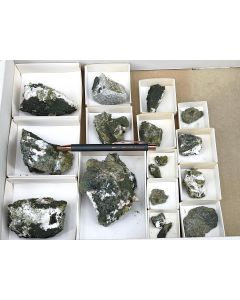 Epidote xls, clinozoisite xls; Wannigletscher, Binntal, Switzerland, from Strahler Gorsatt; 1 unique lot with 15 pieces