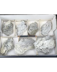 Nifontovite xls; Charcas, Mexico; 1 flat; unique 
