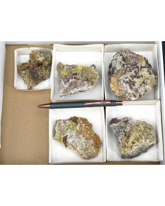Mimetite xls; St. Eulalia, Mexico; 1 lot with 5 pieces; unique 

