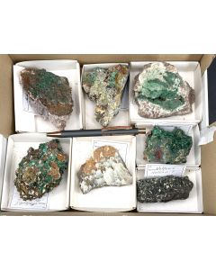 Mixed Minerals; Tsumeb, Namibia; Ilse Baer Collection; 1 half sized flat; unique 