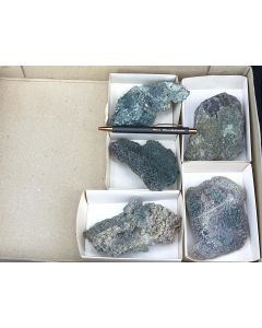 Grape agate xls; Indonesia; 1 lot with 5 pieces; unique