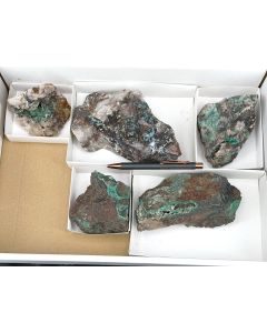 Shattuckite, Brochantite xls; Khorixas, Namibia; 1 lot with 5 pieces; unique 