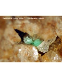Ulrichite xx; Lake Boga Quarry, Lake Boga, Victoria, Australia; capsule