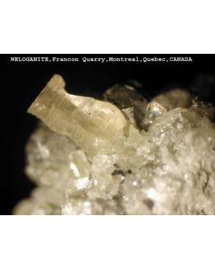 Weloganit xx; Francon Quarry, Quebec, Kanada; MM