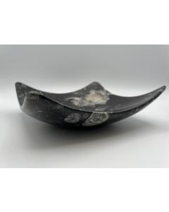 Orthoceras-Schüssel; quadratisch-gewölbt, schwarz, ca. 16 cm; 1 Stück