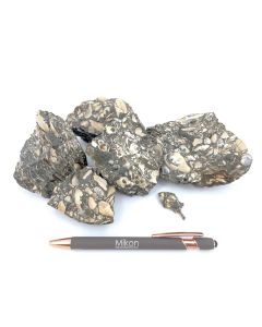 Fossil chalk (partly UV-active!); with turritella tower snails and shells, Java, Indonesia; 1 kg
