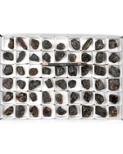 Amber; Sumatra, Indonesia; 1 flat