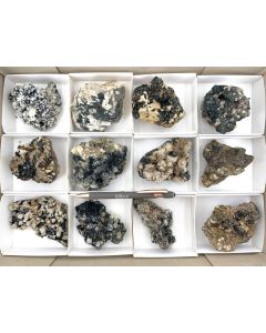 Aegirine, Pyrochlore, Zircon etc. xx; on matrix, partly UV-active; Mt. Malosa, Zomba, Malawi; 1 unique flat (360)