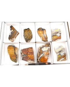 Bumble Bee Jasper, 1 lot with 8 pieces; freeform, polished on both sides; Indonesia