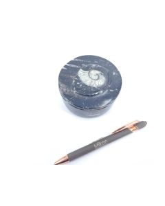 Ammoniten-Dosen, schwarz, 9 cm, mit Deckel, 1 Stück