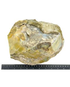 Fossil (petrified) wood with green opal; polished on one side; Garut, Java, Indonesia; 6.9 kg; single piece