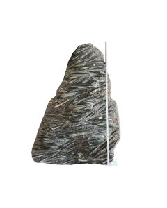 Orthoceras plate; ca. 100 x 120 cm; single piece