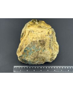 Opal, fossil (petrified) wood with opal; polished on one side; Garut, Java, Indonesia; 3.25 kg; large Cab; unique piece