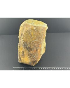 Opal, fossil (petrified) wood with opal; polished on one side; Garut, Java, Indonesia; 3.45 kg; large Cab; unique piece