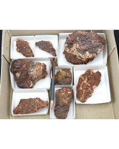 Hematite (Kidney ore); Großer Knollen; Herzberg, Harz, Germany; 1 lot with 8 pieces; unique 