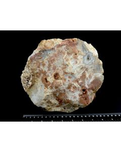 Jasper; Terracotta Jasper; Indonesia; 3.7 kg; single piece