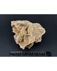 Desert Rose; Tunisia; 1.4 kg; unique piece
