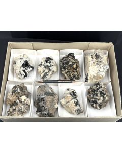 Aegirin xx, Feldspat xx, auf Matrix; Mt. Malosa, Zomba, Malawi; 1 Steige, Unikat (40)