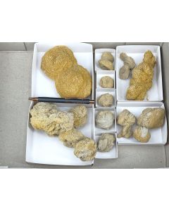 Baryte Roses; Rockenberg, Hesse, Germany; 1 lot with 9 pieces; unique
