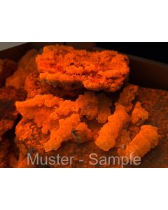 Halite xls (SW-UV active); Trona, California, USA; 1 box
