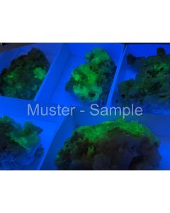Hyalite, UV-active (shortwave); Zacatecas, Mexico; 1 flat
