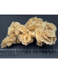 Desert Rose; Tunisia; 665 g; unique piece