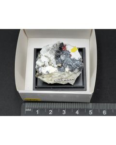 Edenharterit, Dufrénoysit xx; Grube Lengenbach, Binntal, Wallis, Schweiz; KS; Einzelstück