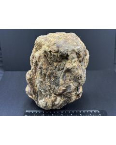 Fossilized (petrified) wood; Garut, Java, Indonesia; 5.1 kg; unique piece
