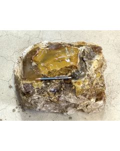Fossilized (petrified) wood; Garut, Java, Indonesia; 38.6 kg; unique piece
