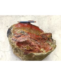 Fossilized (petrified) wood; Garut, Java, Indonesia; 65 kg; unique piece
